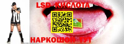 стафф Анжеро-Судженск
