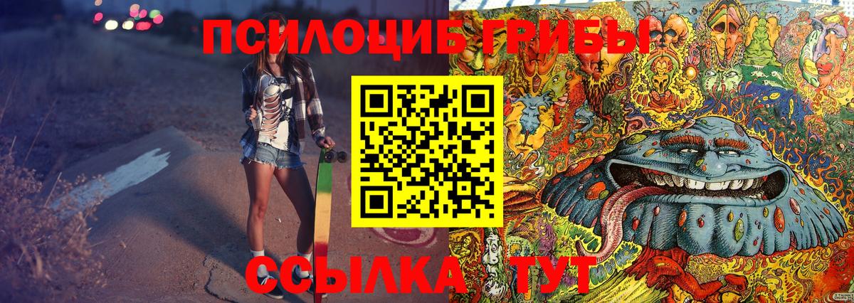 где купить наркотик  Вход с VPN  Грозный  Галлюциногенные грибы Cubensis 